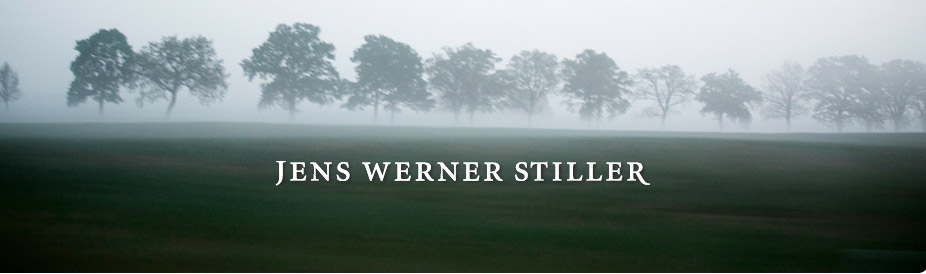 Werner Stiller - Historiker, Erbenermittler